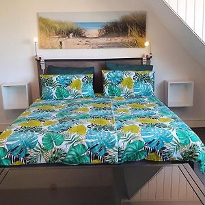 Uitgebreide Kamer met een King Size Bed